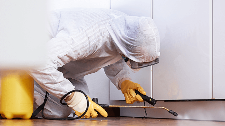 Image of Specialist Cleaning Services