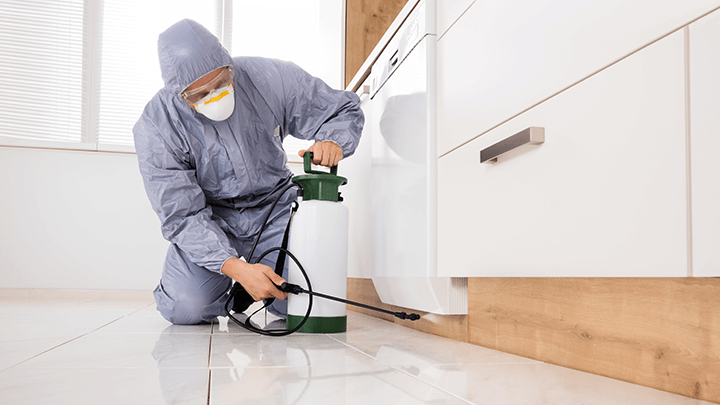 Image of Pest Control